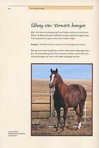 Indianisches Pferdetraining - Step by Step, 9