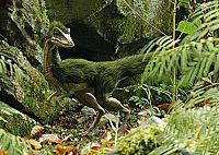 Planet Deutschland [Blu-ray], 5