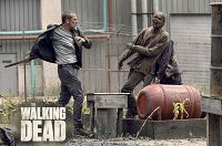 The Walking Dead - Staffel 9 [DVD], 8