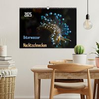 Unterwasser - Nacktschnecken 2025, 2