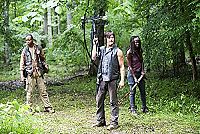 The Walking Dead - Saison 4 [DVD], 3