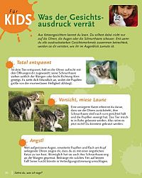 Katzensprache - Verhalten erkennen & verstehen, 8