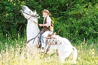 Midnight Stallion - Der König der Pferde [DVD], 3