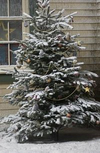 Wunder einer Weihnachtsnacht [Blu-ray], 1