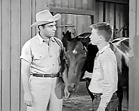 Fury - Die Abenteuer eines Pferdes 2 [DVD], 5