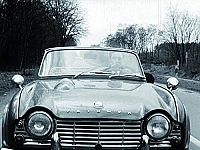 Mädchenjagd in St. Pauli [DVD], 6