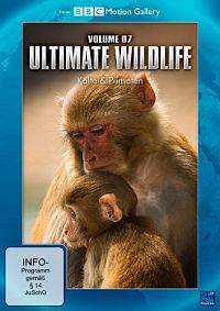 Ultimate Wildlife Vol. 7: Kälte & Primaten [DVD], 1