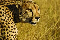 Unser Leben [DVD], 4