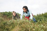 SOS - Ein spannender Sommer [DVD], 2