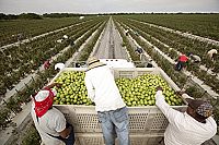 Fair Food - Genuss mit Verantwortung [DVD], 9