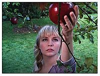 House of Last Things [Blu-ray], 8