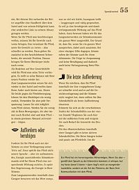 Westernreiten - Das Praxisbuch, 5