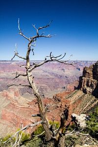 Weltnaturerbe USA - Grand Canyon Nationalpark [Blu-ray 3D], 3