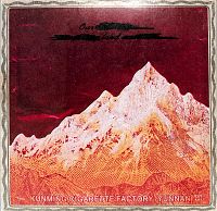 This Is Our Punk-Rock, Thee Rusted Satellites Gather+Sing [Vinyl], 1