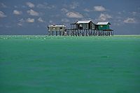 Walking under Water [DVD], 1