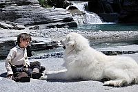 Belle et Sébastien [Blu-ray], 6