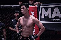 The Divine Fury [DVD], 1