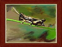 Art Academy - Zeichen und Maltechniken [Nintendo DS], 7