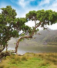 Azoren - Auf den Spuren von Entdeckern, Walen und Vulkanen [Blu-ray 3D], 8