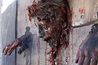 Lost Colony [Blu-ray], 3