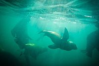 Die fantastische Reise unserer Erde  [Blu-ray 3D], 9