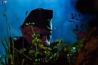 Gnome Alone - Gartenzwerg des Grauens  [DVD], 7