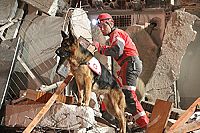 Mika - Dein bester Freund und grosser Held [DVD], 5