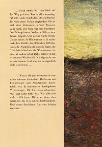 Verlorene Landschaften - Drei Link-Studien, 1