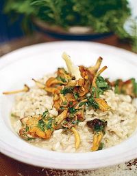 Natürlich Jamie: Meine Frühlings-, Sommer-, Herbst- und Winterrezepte, 1