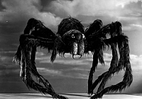 Tarantula [Blu-ray], 4