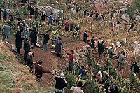 Das Geheimnis von Santa Vittoria [Blu-ray], 6