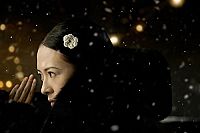 The Grandmaster [DVD], 5