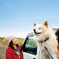 Chiko - Eine Freundschaft fürs Leben [DVD], 1