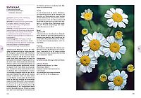 Praxishandbuch Frauenkräuter, 6