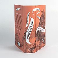 Die Spiegelreisende - Band 4 - Im Sturm der Echos, 2