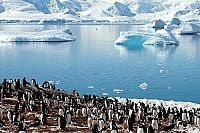 Antarctica - An Adventure Of Different Nature IMAX [Blu-ray], 2