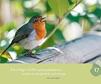 9 Monate bewusst erleben, 8