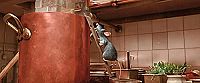 Ratatouille [Blu-ray], 5