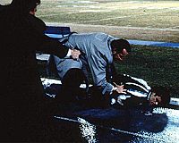 Ed McBains 87. Polizeirevier Collection [DVD], 5