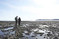 Für immer dein (OmU) [DVD], 4