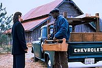 Das Leben ist was Wunderbares [DVD], 2