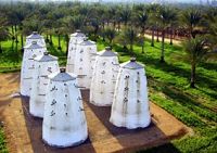 Sekem - Aus der Kraft der Sonne [DVD], 7