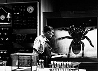 Tarantula [Blu-ray], 3