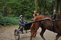 Lucky Star - Mitten ins Herz [DVD], 4