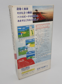 New 3D Golf Simulation: Waialae no Kiseki [Nintendo Famicom], 1