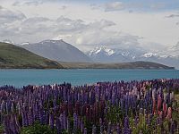 Neuseeland 3D - Das vergessene Paradies [Blu-ray], 7