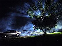 Lightning Bug [DVD], 7