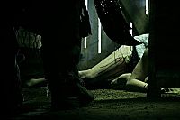 Charlie's Farm [DVD], 8