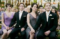 The Twilight Saga - Breaking Dawn - Part 1 [DVD], 5