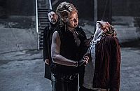 Die Purpurnen Flüsse - Die Serie [DVD], 9